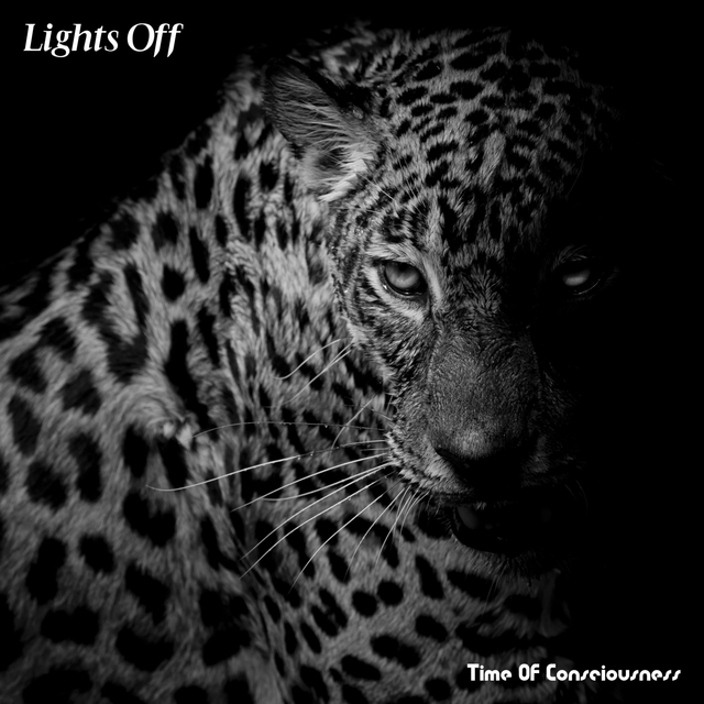 Couverture de Lights Off