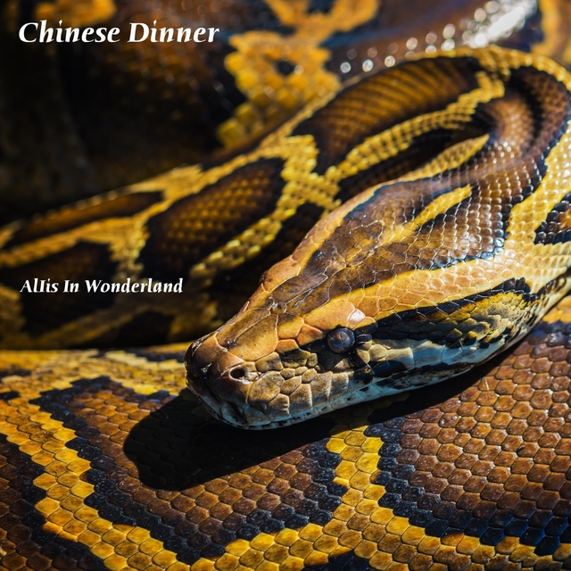 Couverture de Chinese Dinner