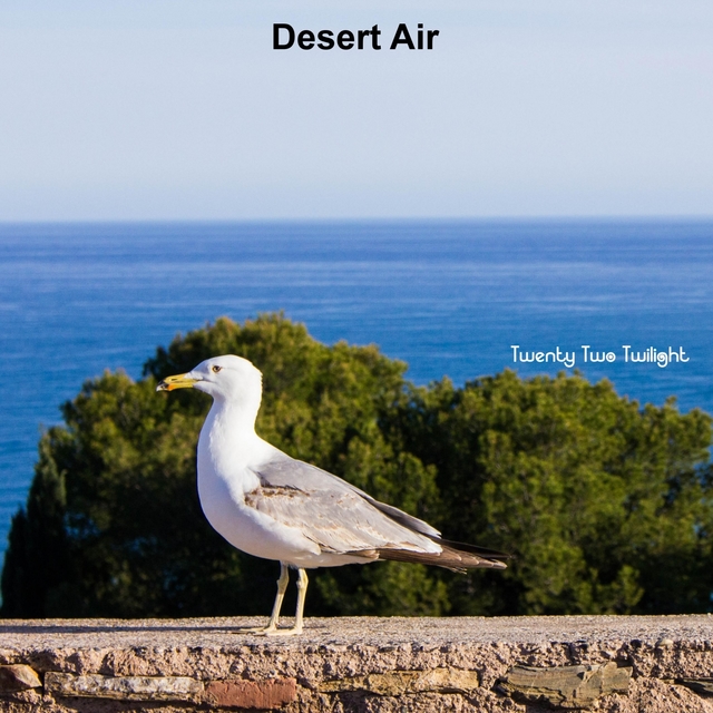 Desert Air