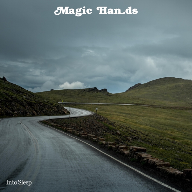 Couverture de Magic Hands