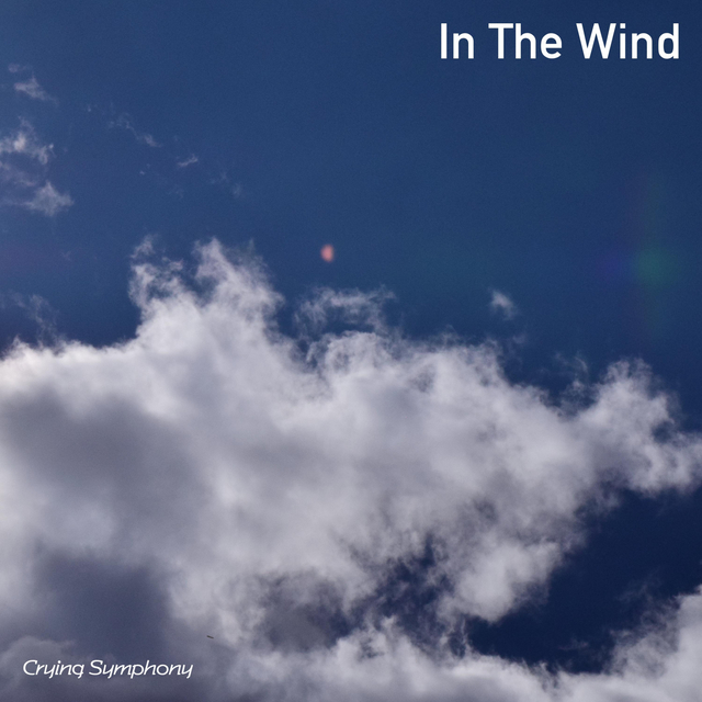 Couverture de In The Wind