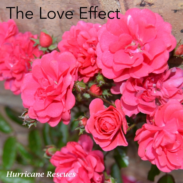 Couverture de The Love Effect