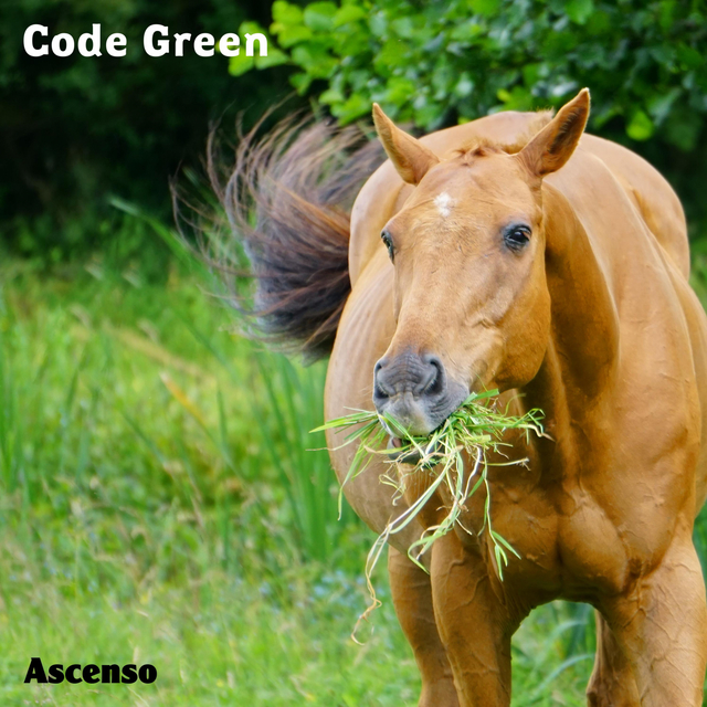 Code Green