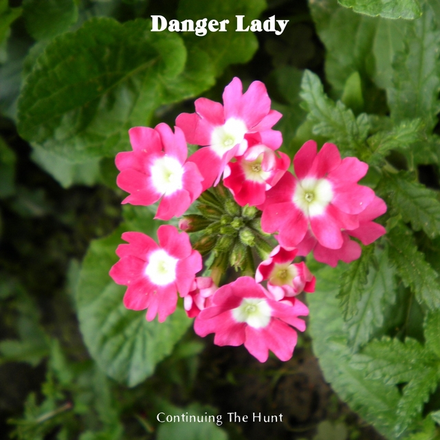 Couverture de Danger Lady