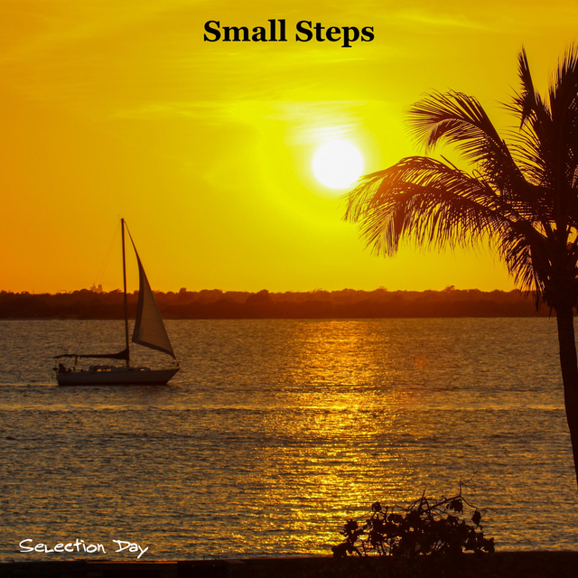 Couverture de Small Steps