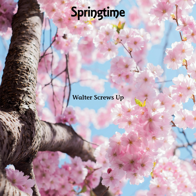 Couverture de Springtime