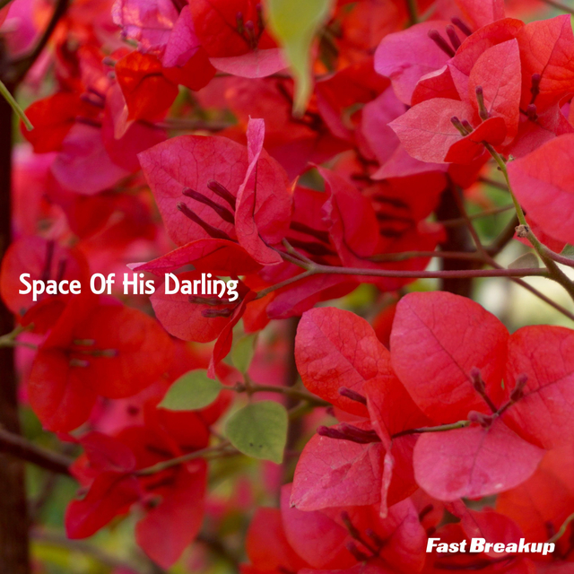 Couverture de Space Of His Darling