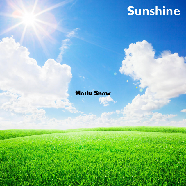 Couverture de Sunshine