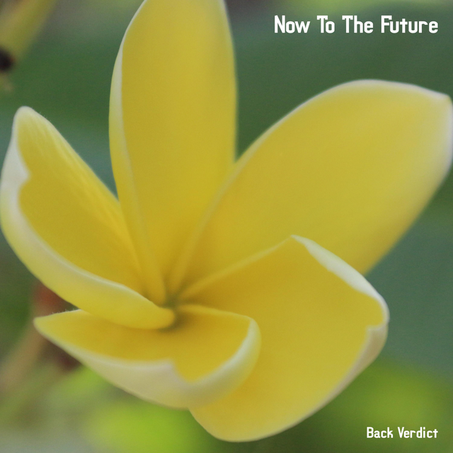 Couverture de Now To The Future