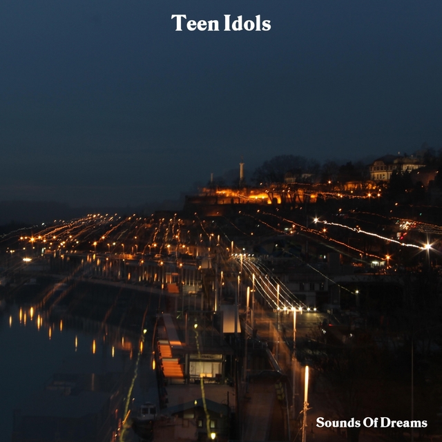 Couverture de Teen Idols