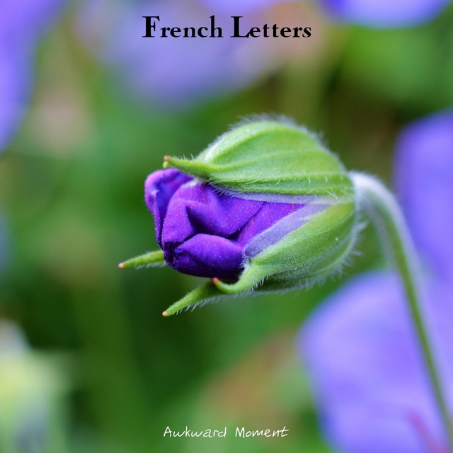 Couverture de French Letters