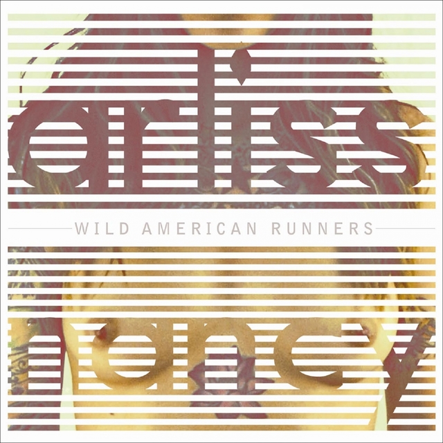 Couverture de Wild American Runners