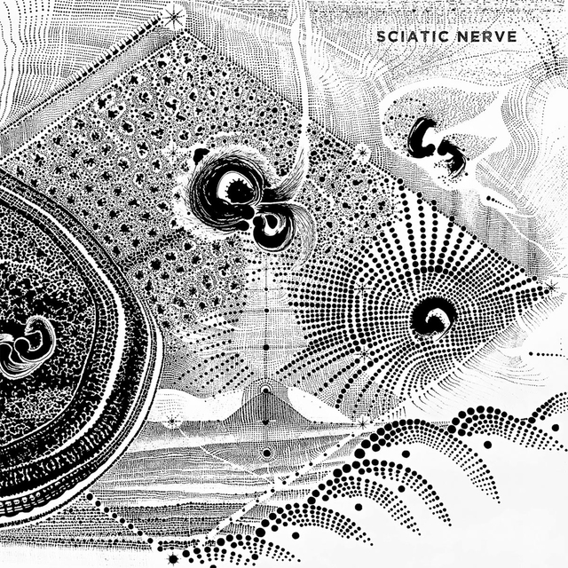 Sciatic Nerve