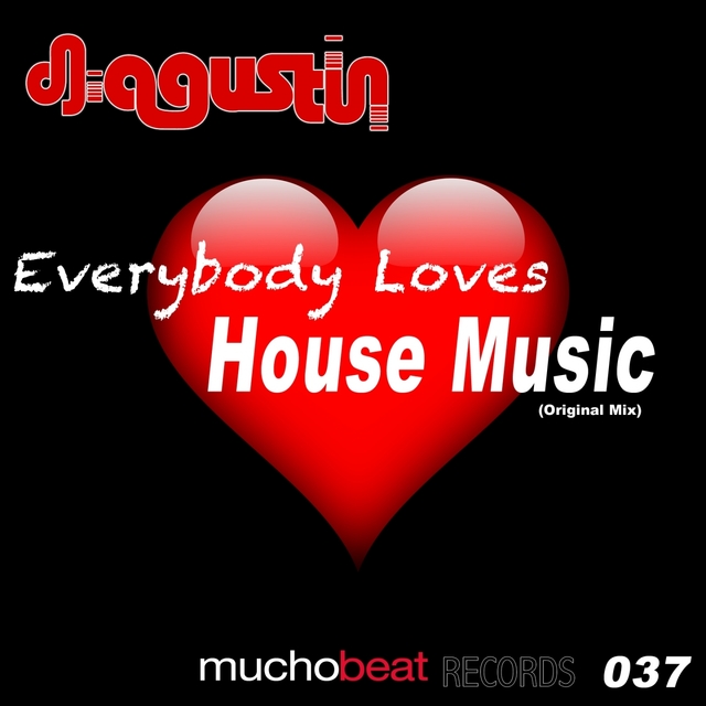 Couverture de Everybody Loves House Music