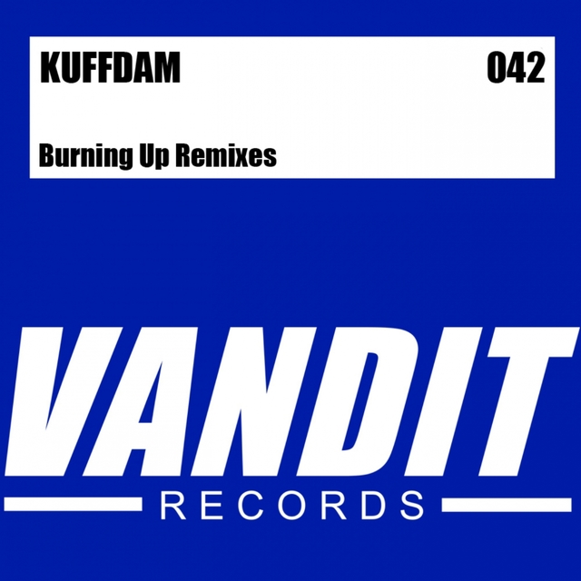 Couverture de Burning Up Remixes