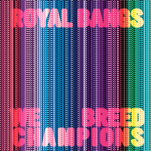 Couverture de We Breed Champions