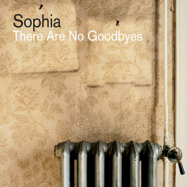 Couverture de There Are No Goodbyes