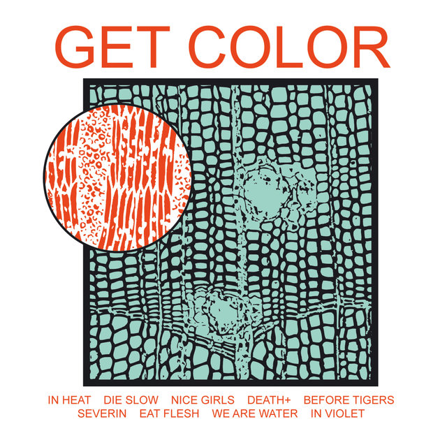 Couverture de Get Color