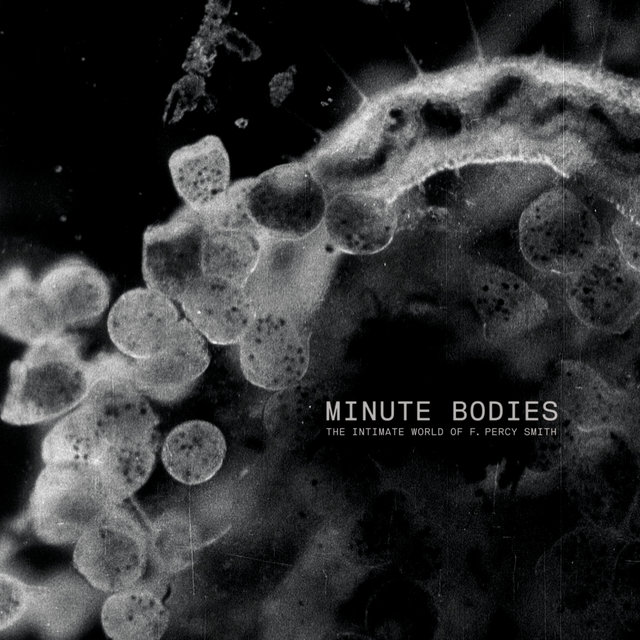 Couverture de Minute Bodies: The Intimate World of F. Percy Smith