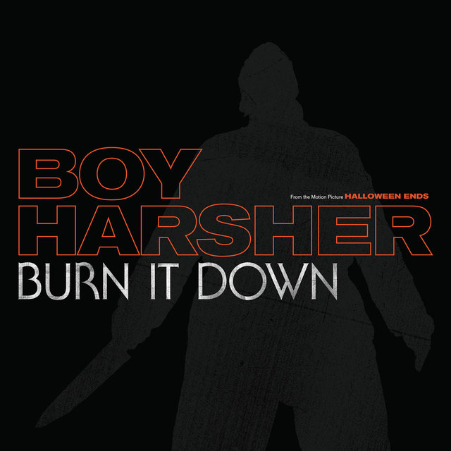 Couverture de Burn It Down