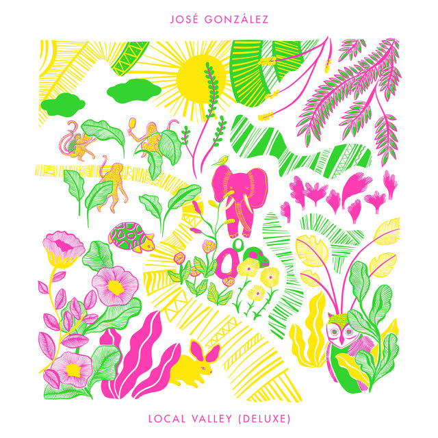 Couverture de Local Valley