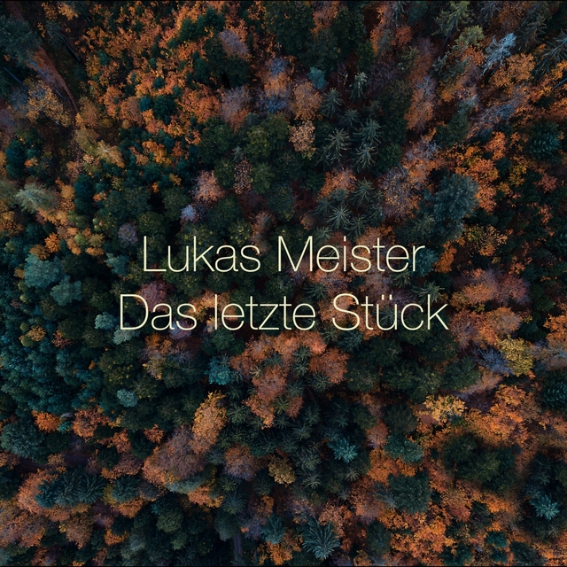 Couverture de Das letzte Stück