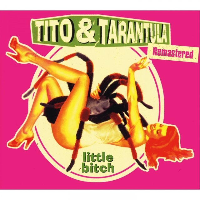 Couverture de Little Bitch