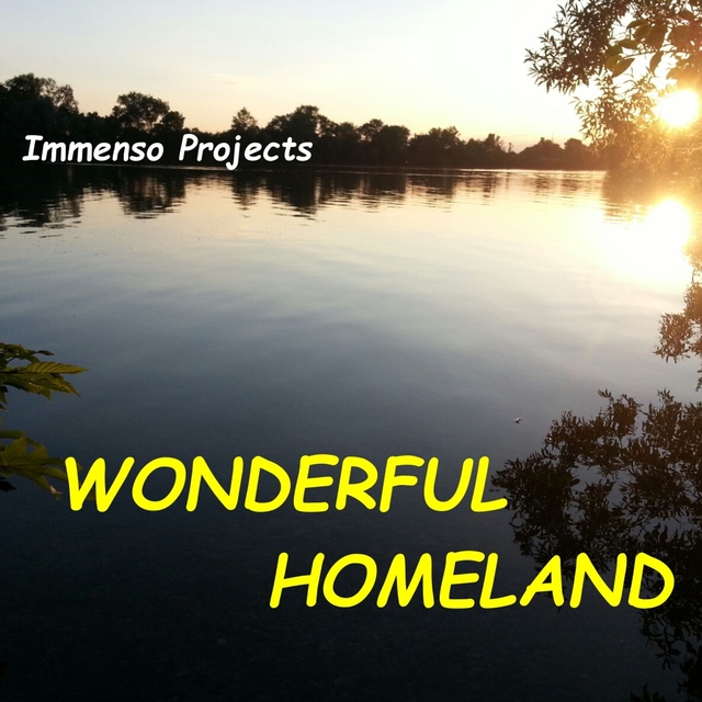 Couverture de Wonderful Homeland