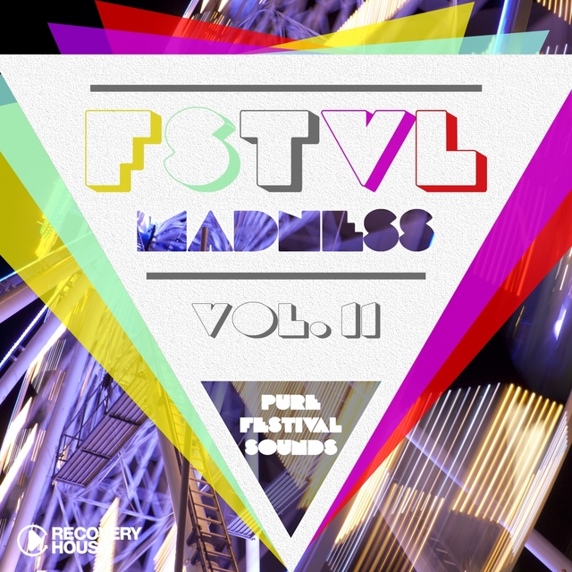 Couverture de FSTVL Madness, Vol. 12 - Pure Festival Sounds