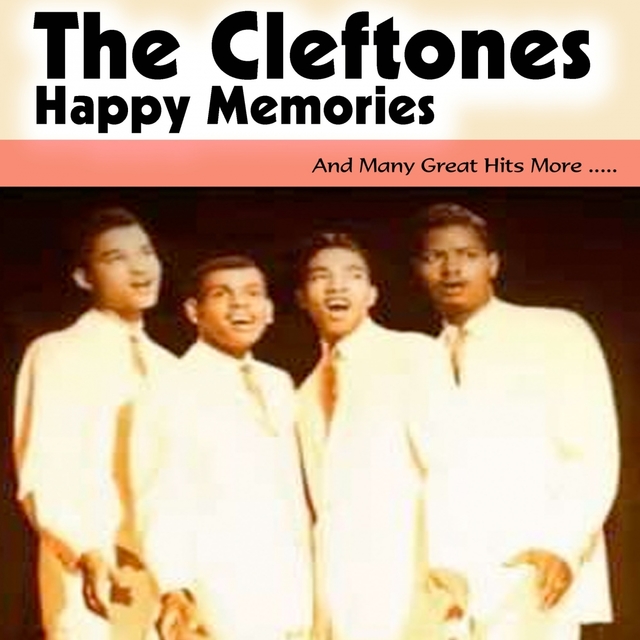 Couverture de Happy Memories