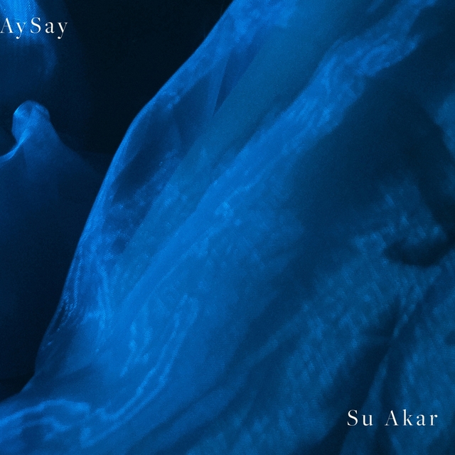 Couverture de Su Akar