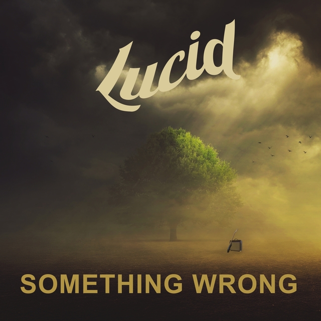 Couverture de Something Wrong