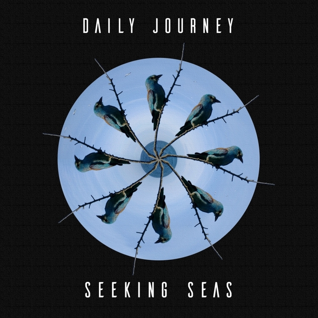 Seeking Seas