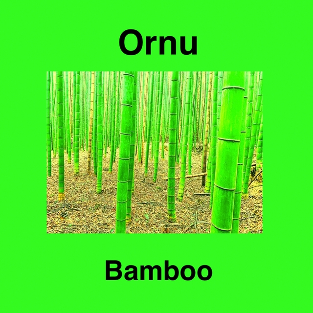 Bamboo