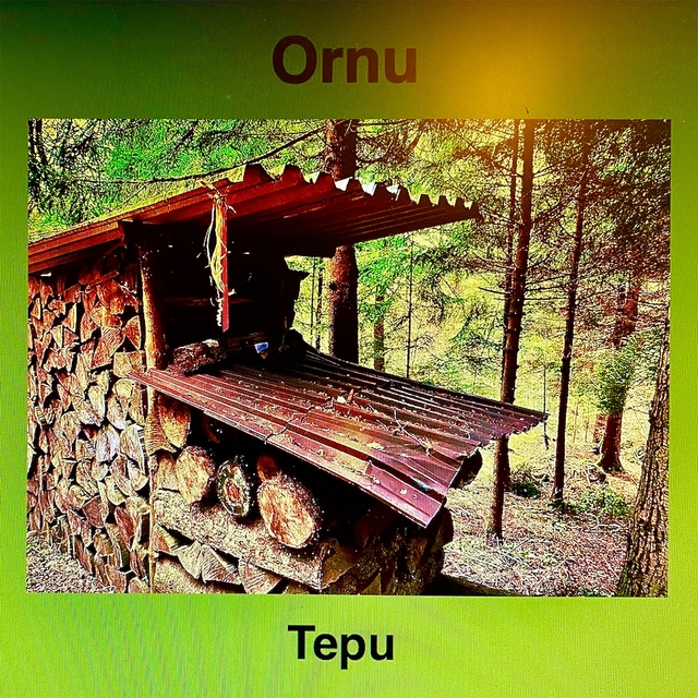 Tepu