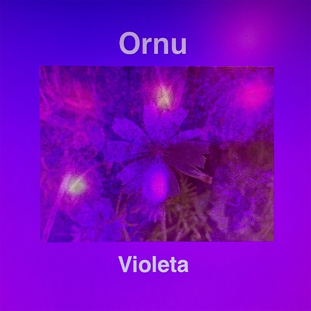 Violeta