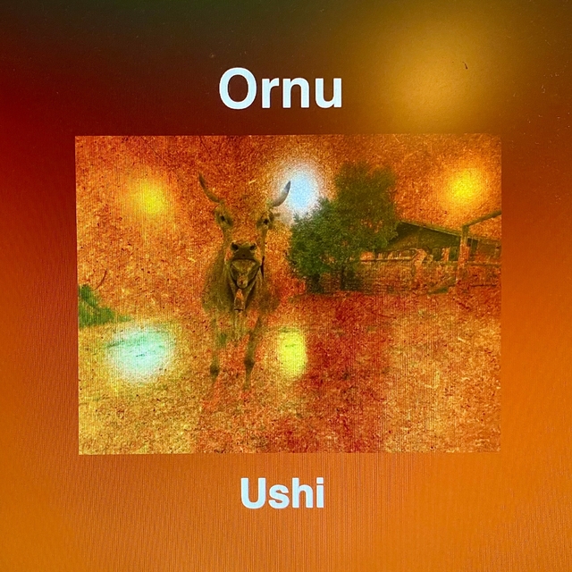 Ushi