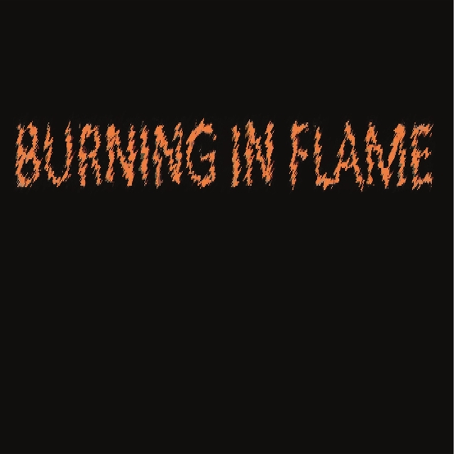 Burning in Flame