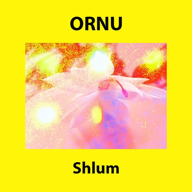 Shlum