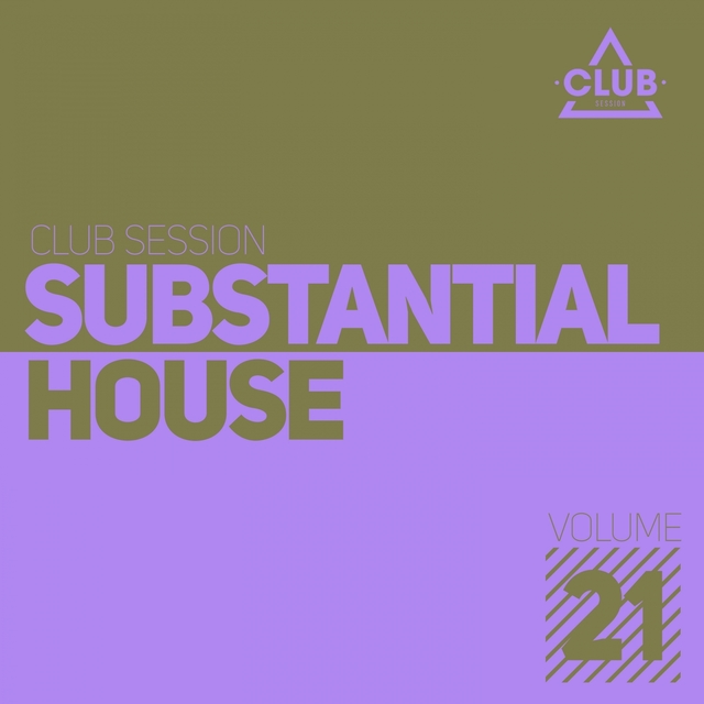 Couverture de Substantial House, Vol. 21