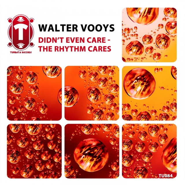 Couverture de Didn't Even Care - The Rhythm Cares