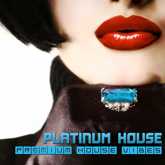 Couverture de Platinum House - Premium House Vibes