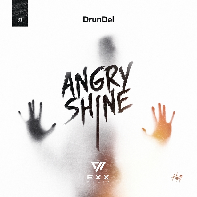 Couverture de Angry Shine