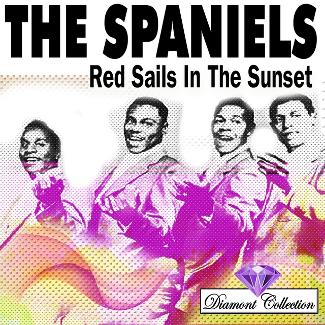 Couverture de Red Sails In The Sunset