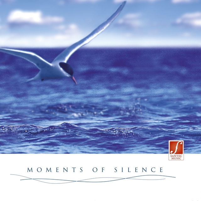 Couverture de Moments of Silence (Momente der Ruhe)