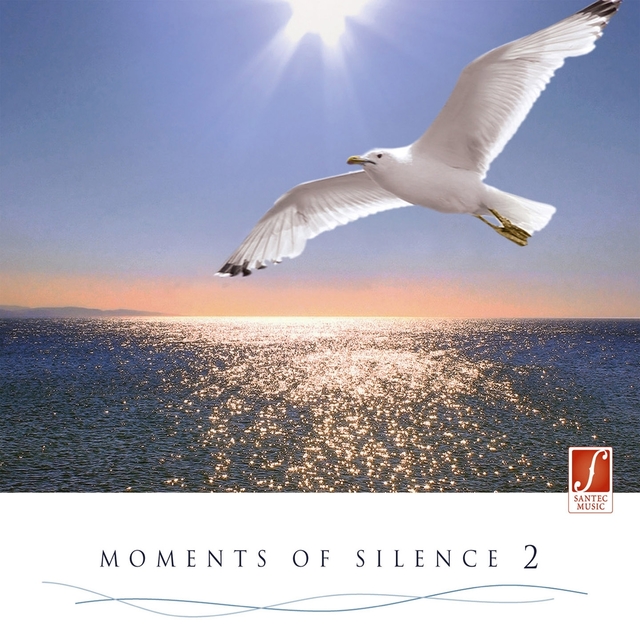 Couverture de Moments of Silence, Vol. 2