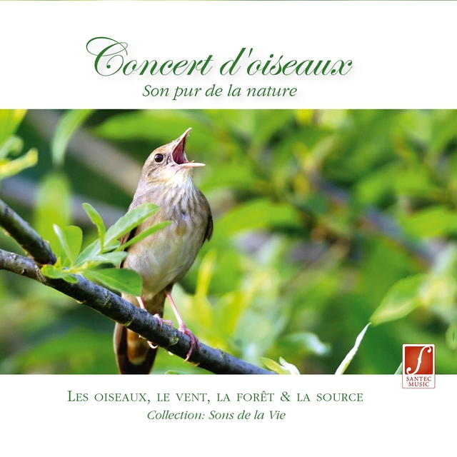 Couverture de Concert d' oiseaux - Son pur de la nature