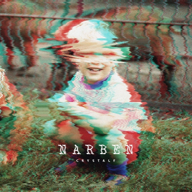 Couverture de Narben