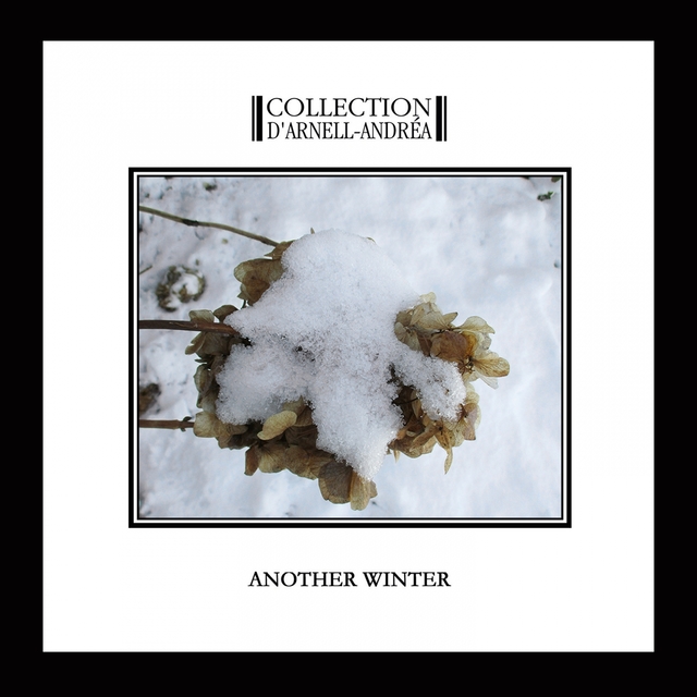 Couverture de Another Winter