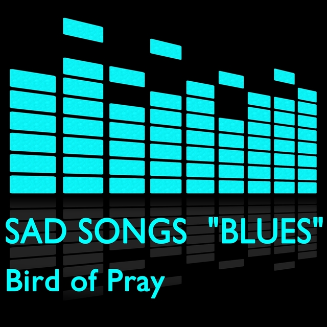 Couverture de Sad Songs "Blues"